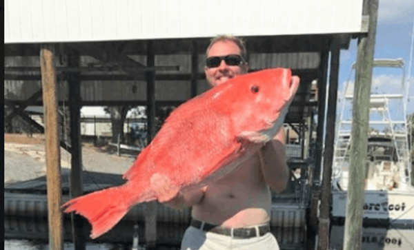 Alibi Charter Fishing