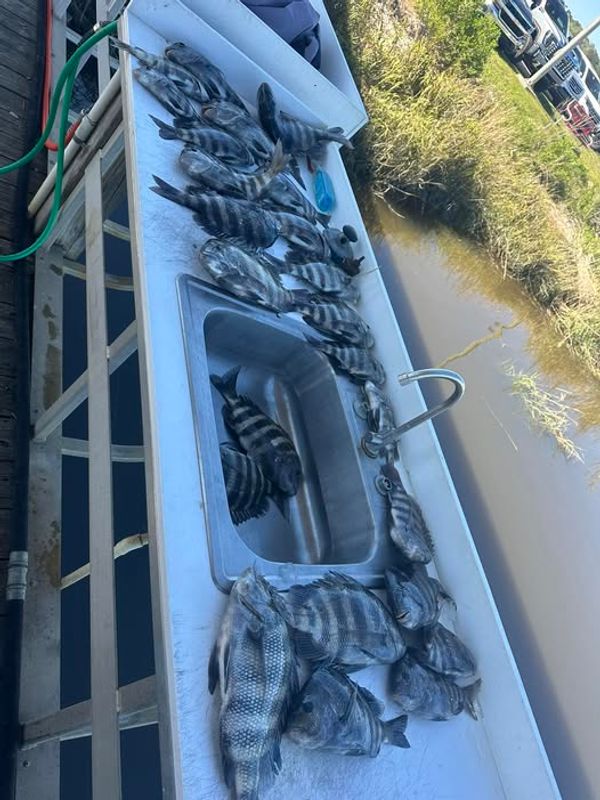 Reel Busy Shark Charters