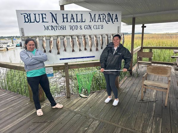 Reel Busy Shark Charters