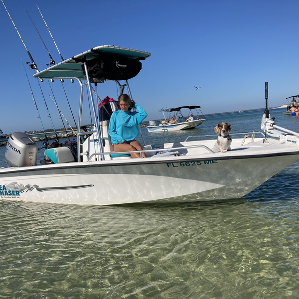 Captain Kota’s aquatic excursions