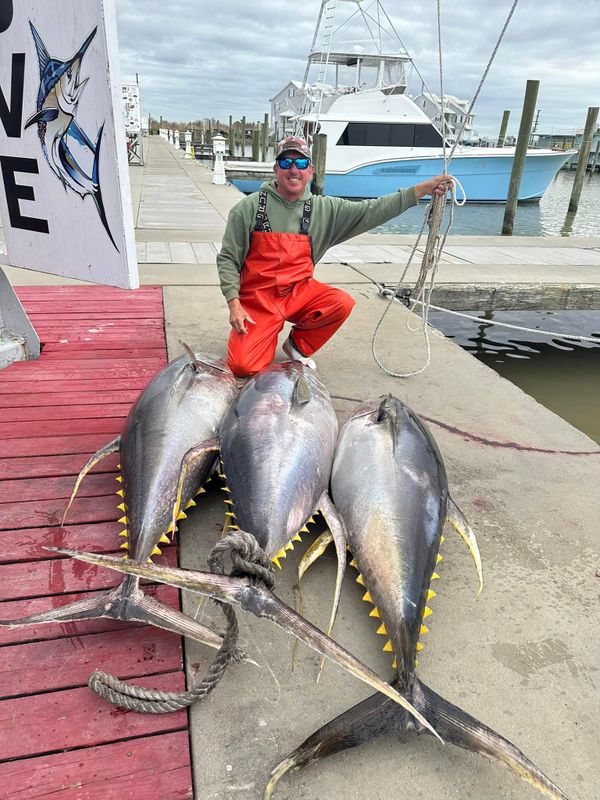 Last Day Sportfishing