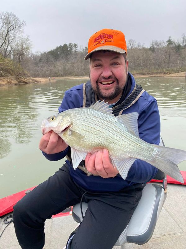 Beaver Lake Walleye Adventure