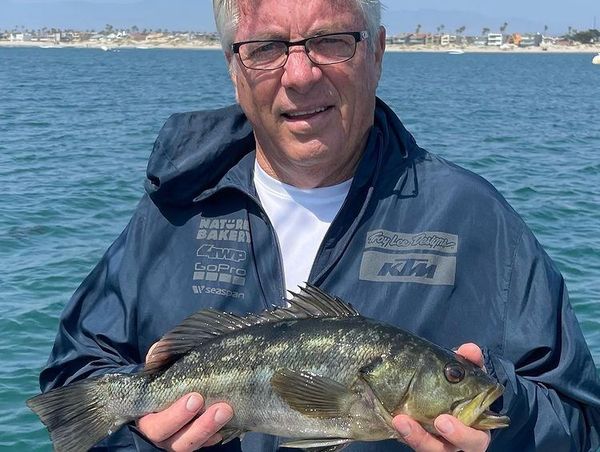 Graphic Slayer Sportfishing