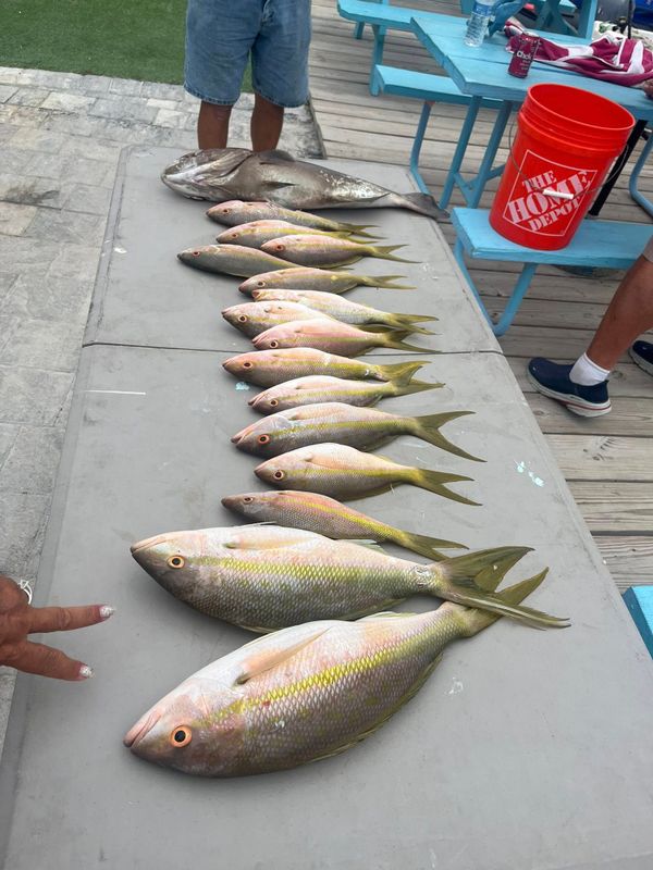 Fun In The Sun Charters LLC