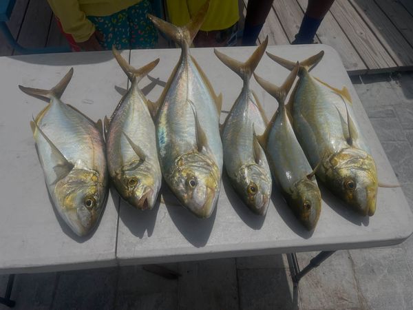 Fun In The Sun Charters LLC