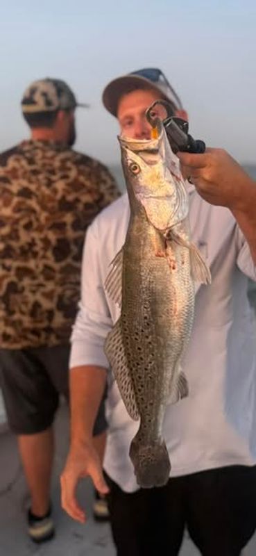 Reel Bolivar Fishing Guide Services