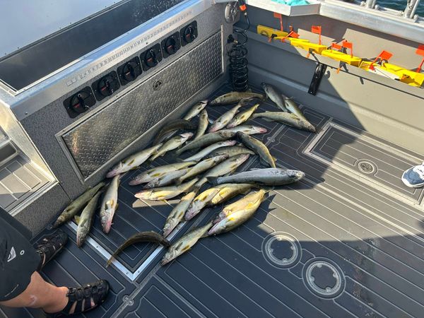 Right Hook Walleye Charters