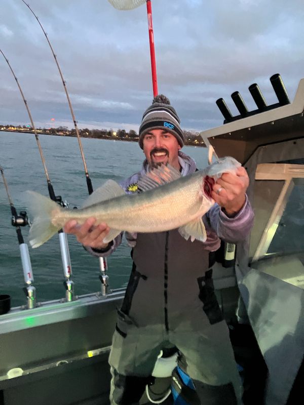 Right Hook Walleye Charters