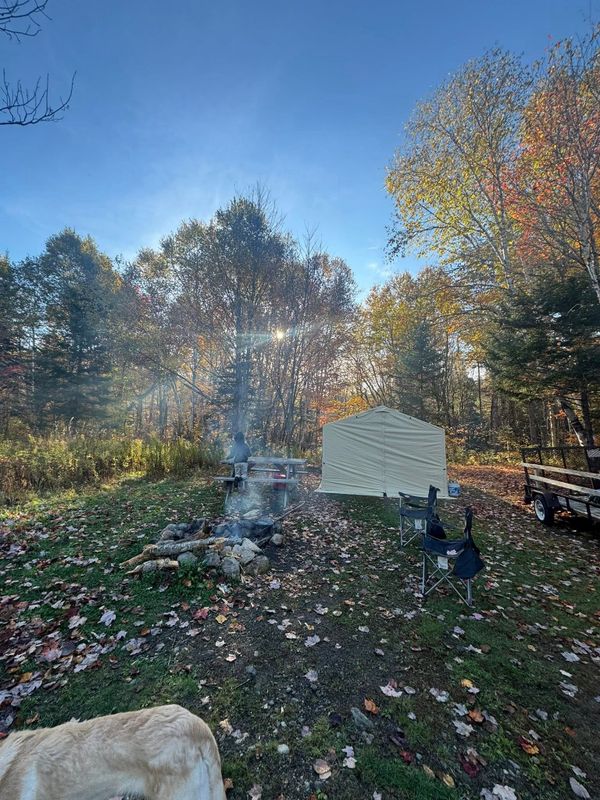 Moose Horn Guide Service