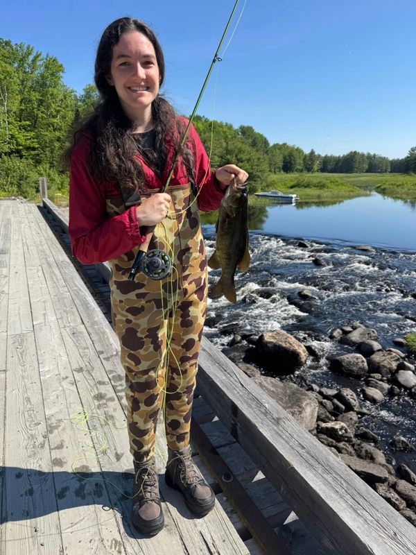 Moose Horn Guide Service