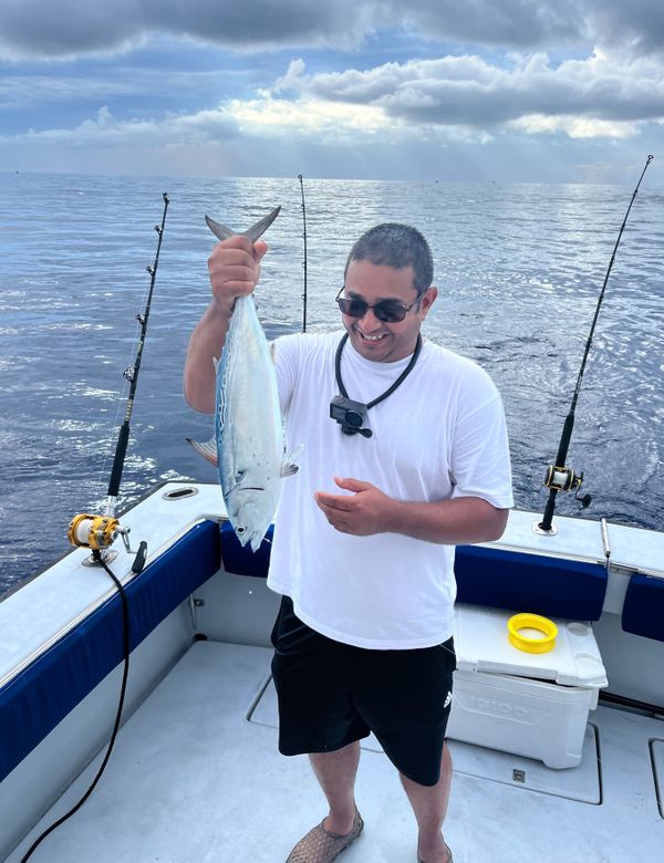 Tuna Wahoo Charters