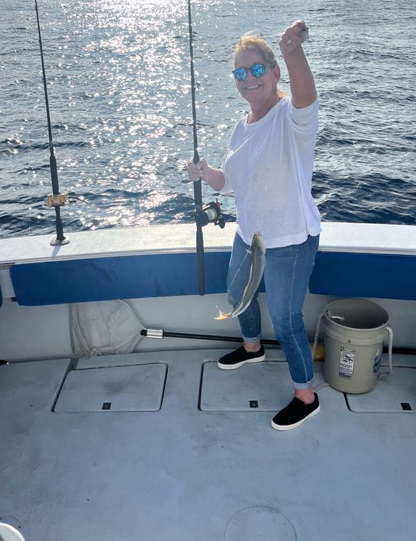 Tuna Wahoo Charters