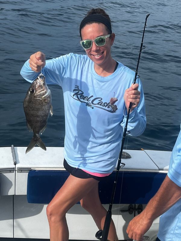 Tuna Wahoo Charters