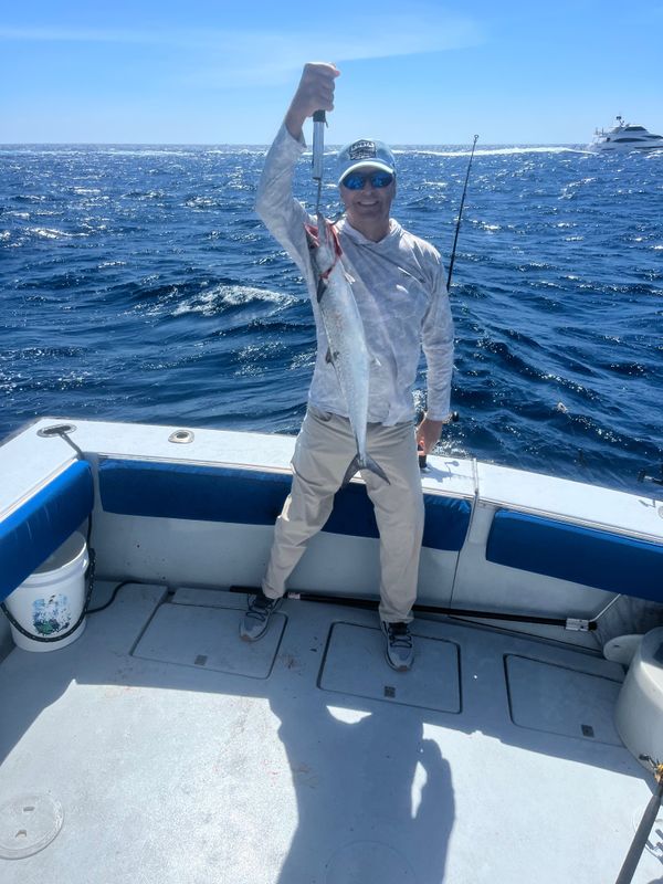 Tuna Wahoo Charters