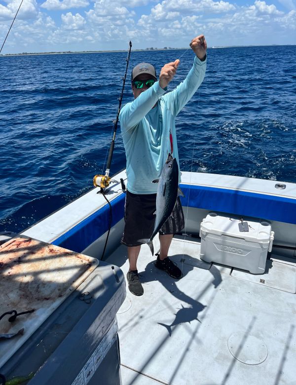 Tuna Wahoo Charters