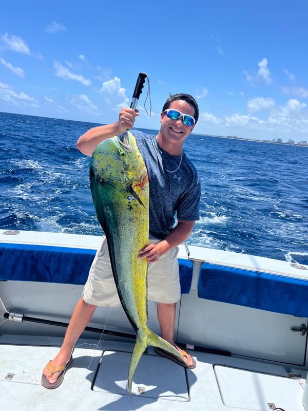 Tuna Wahoo Charters