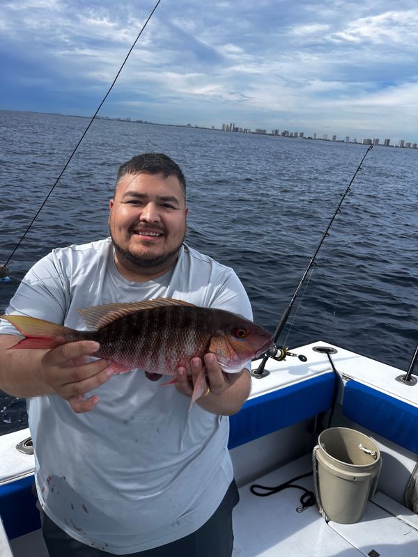 Tuna Wahoo Charters