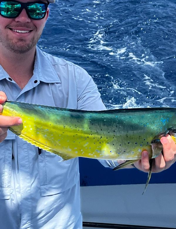 Tuna Wahoo Charters