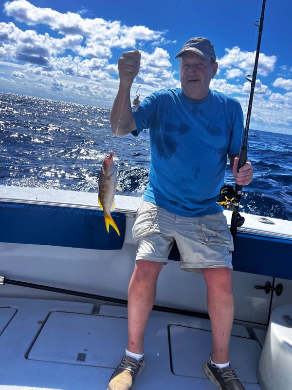 Tuna Wahoo Charters