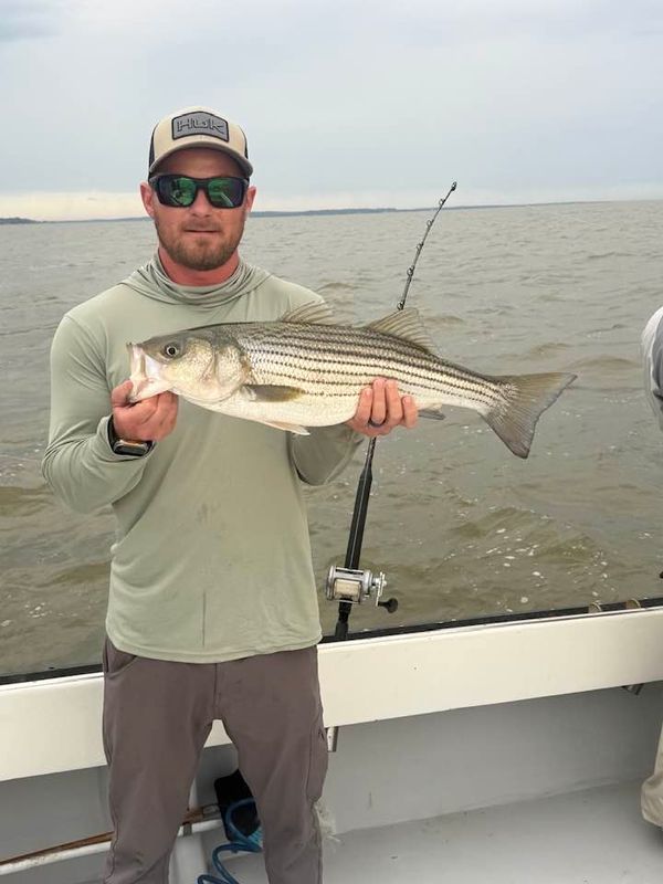 Maryanne Fishing Charters