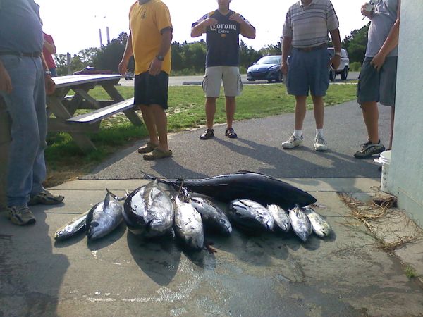 Blue Collar Man Sport Fishing Charters
