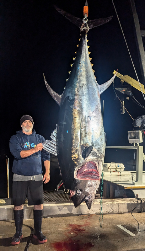 Savage Charters