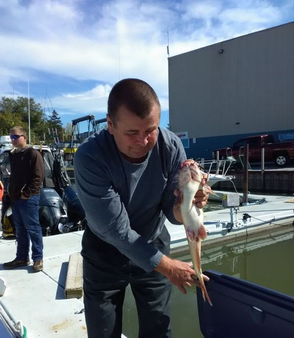 Myrmidon Fishinful Charters