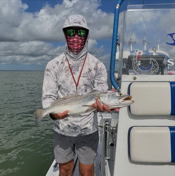 Slick Fin Charters