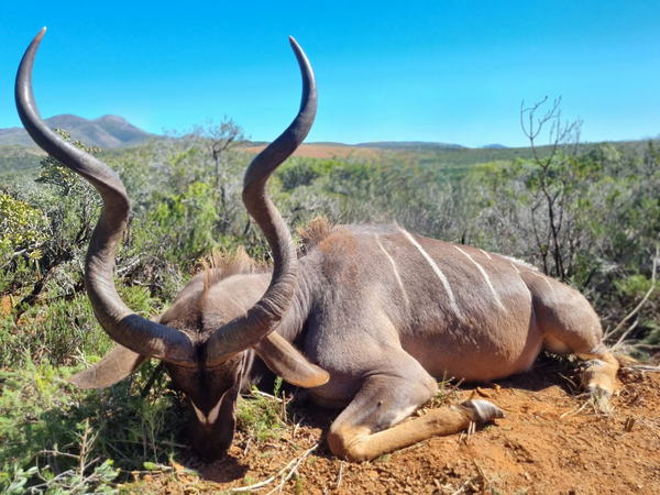 Elite Hunting Outfitters