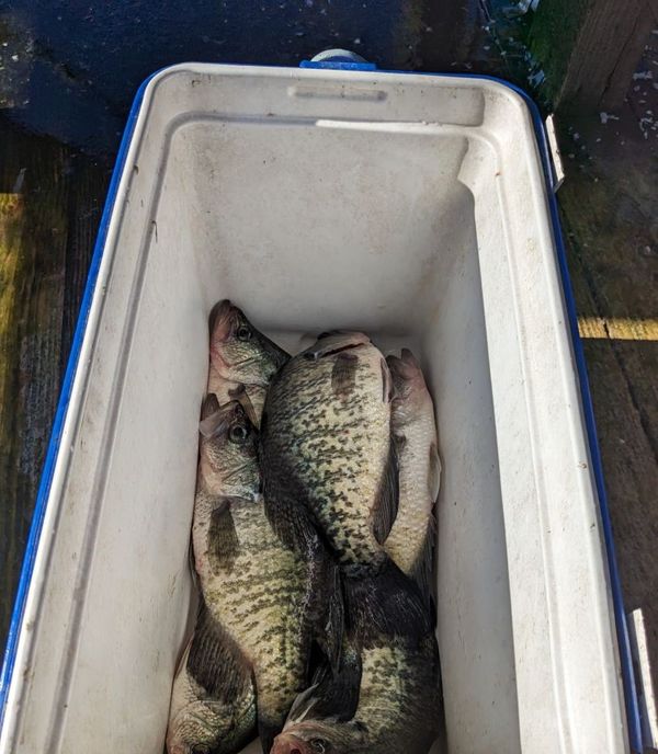 Crappie Freaks Guide Service