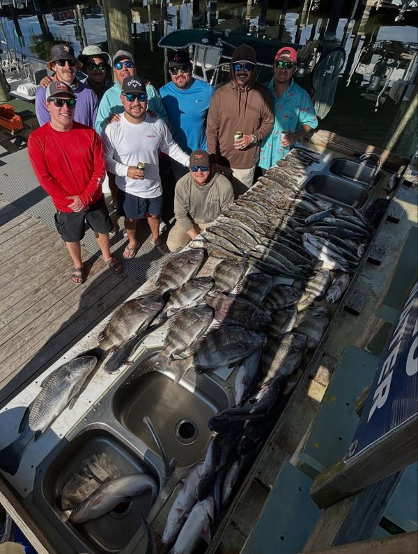 Speck Dat Charters