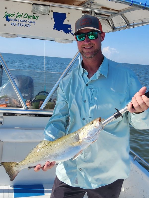 Speck Dat Charters