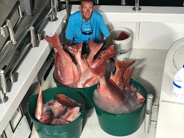 Alabama Deep Sea Fishing