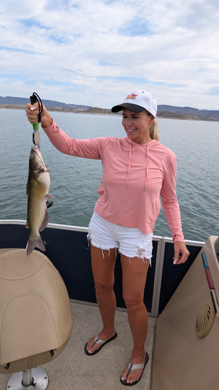 No Limit Fishing