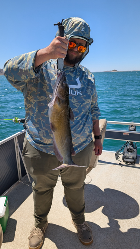 No Limit Fishing