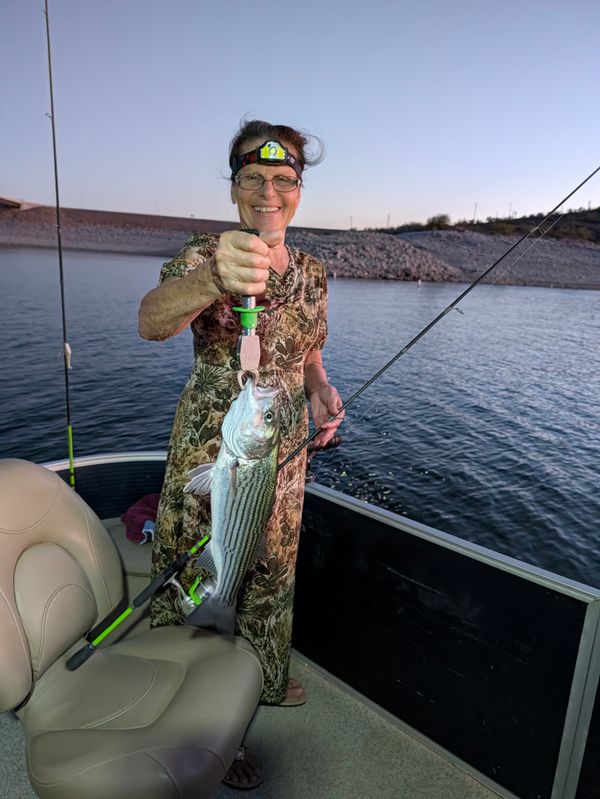 No Limit Fishing
