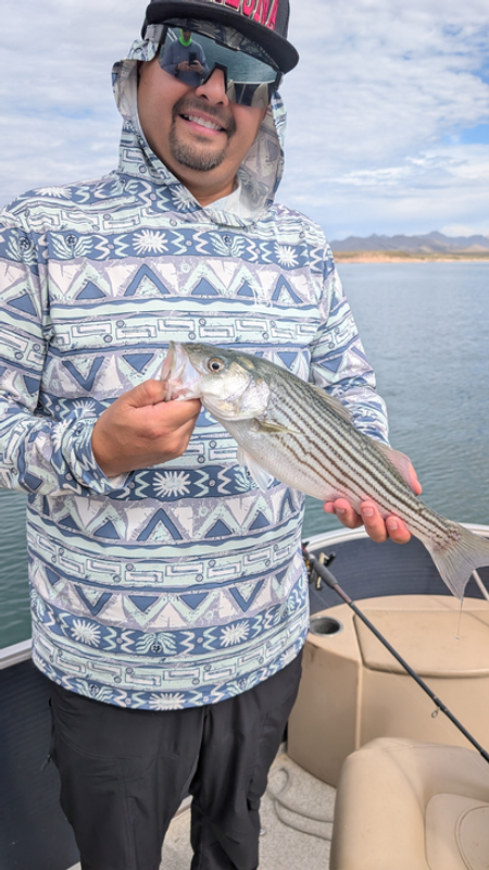 No Limit Fishing