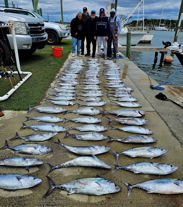 Badfish Fishing Charters