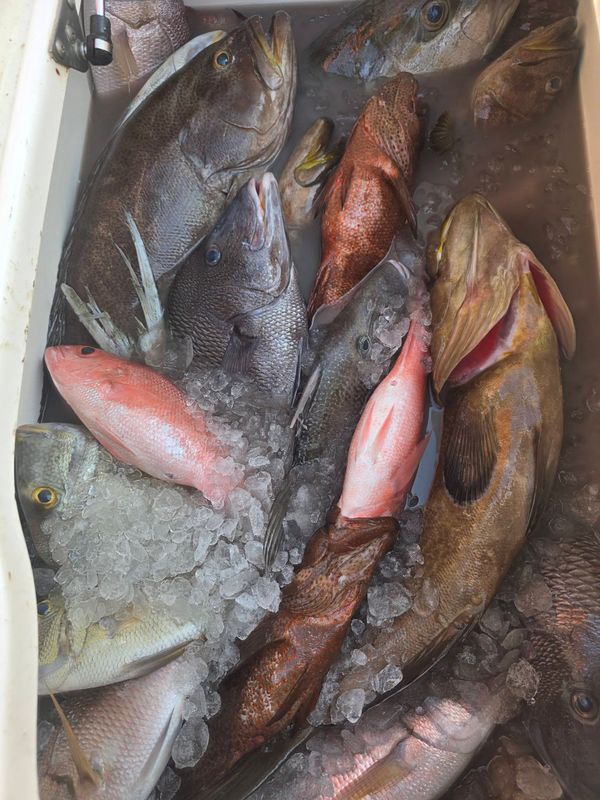 Badfish Fishing Charters