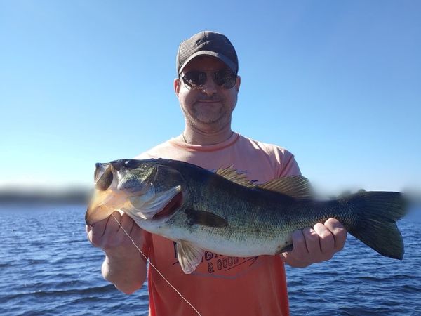 Central Florida Bucketmouths
