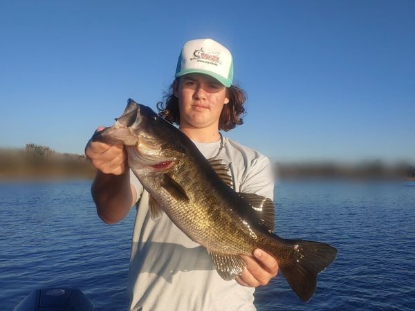 Central Florida Bucketmouths