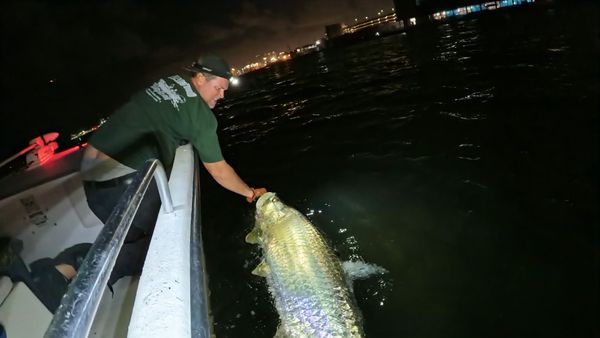 Flat Bottom Fishing Charters