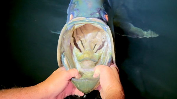 Flat Bottom Fishing Charters