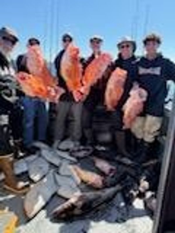 Sweet Action Charter