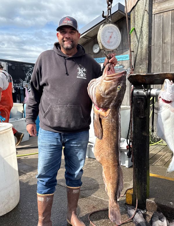 Sweet Action Charter