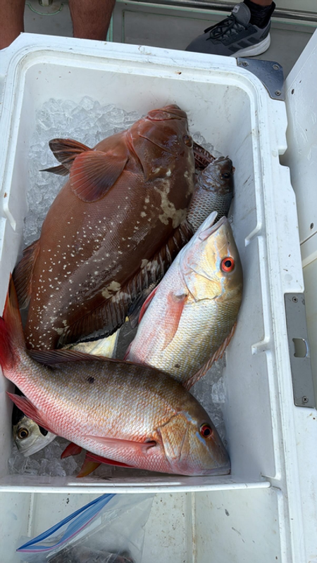 Bear Cut Bandit Charters