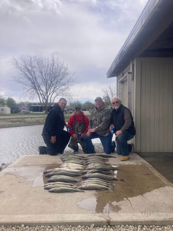 Chunky Monkey Charters