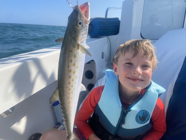 Katfish Kayak and Fishing Adventures