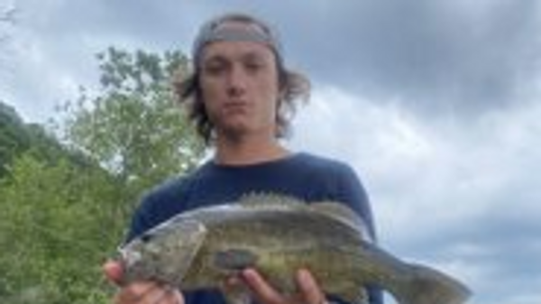 Cole's Catch