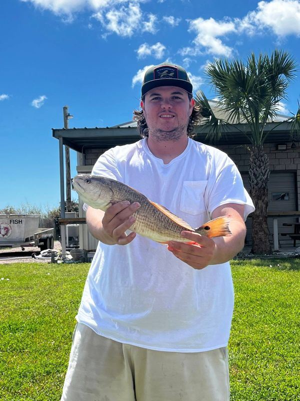 Online Fishing Trips